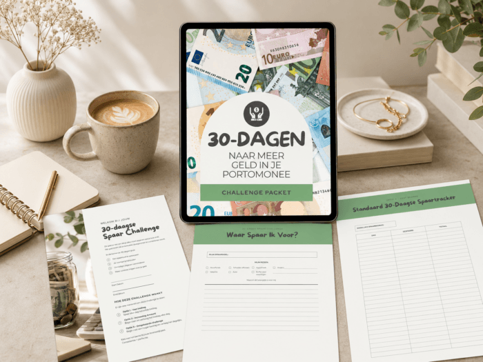 30-dagen spaarchallenge printable pakket met eurobiljetten op de cover